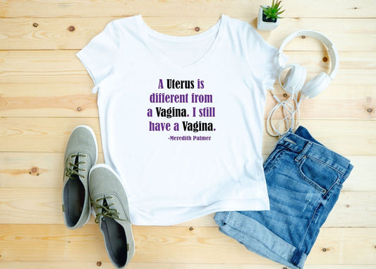 A Uterus is different from a Vagina.